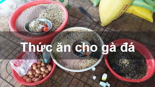 Trứng luộc bổ sung dinh dưỡng hữu ích cho gà đá | Theo Bj88