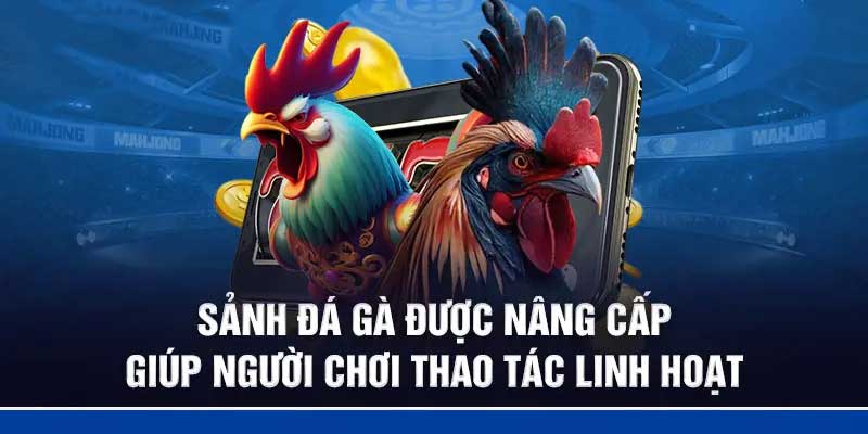 Nhà cái đá gà online đẳng cấp Bj88