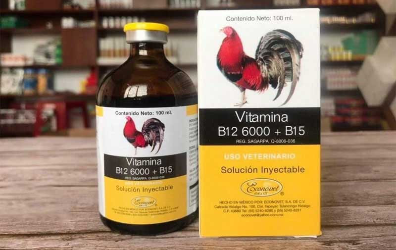 Bj88 chia sẻ vitamin hữu ích cho gà đá