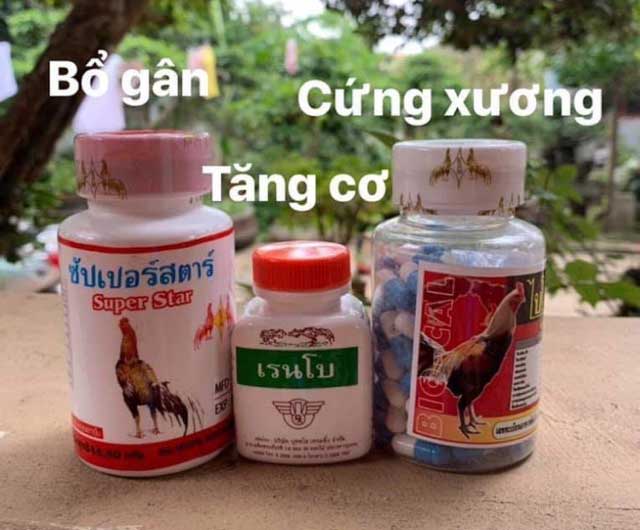 Bj88 chia sẻ các loại thuốc cho gà chọi